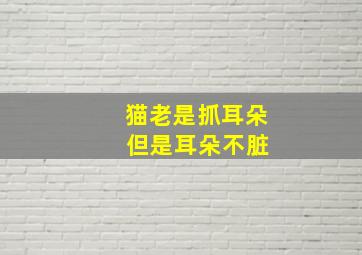 猫老是抓耳朵 但是耳朵不脏